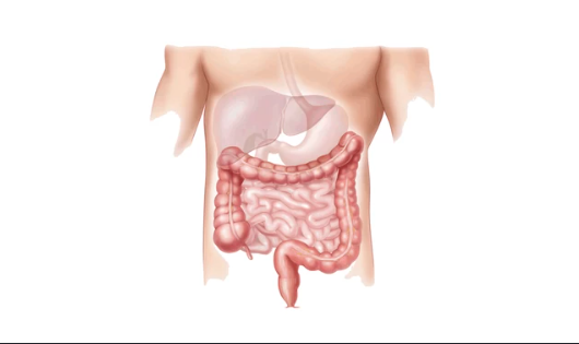 Warning Signs That Your Bowel Leakage May Be Serious